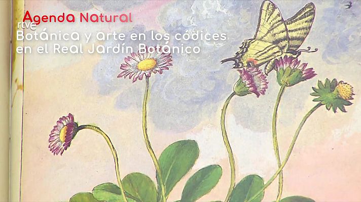 La aventura del Saber - Agenda natural