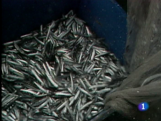 Panorama Regional - Panorama regional - 16/12/09