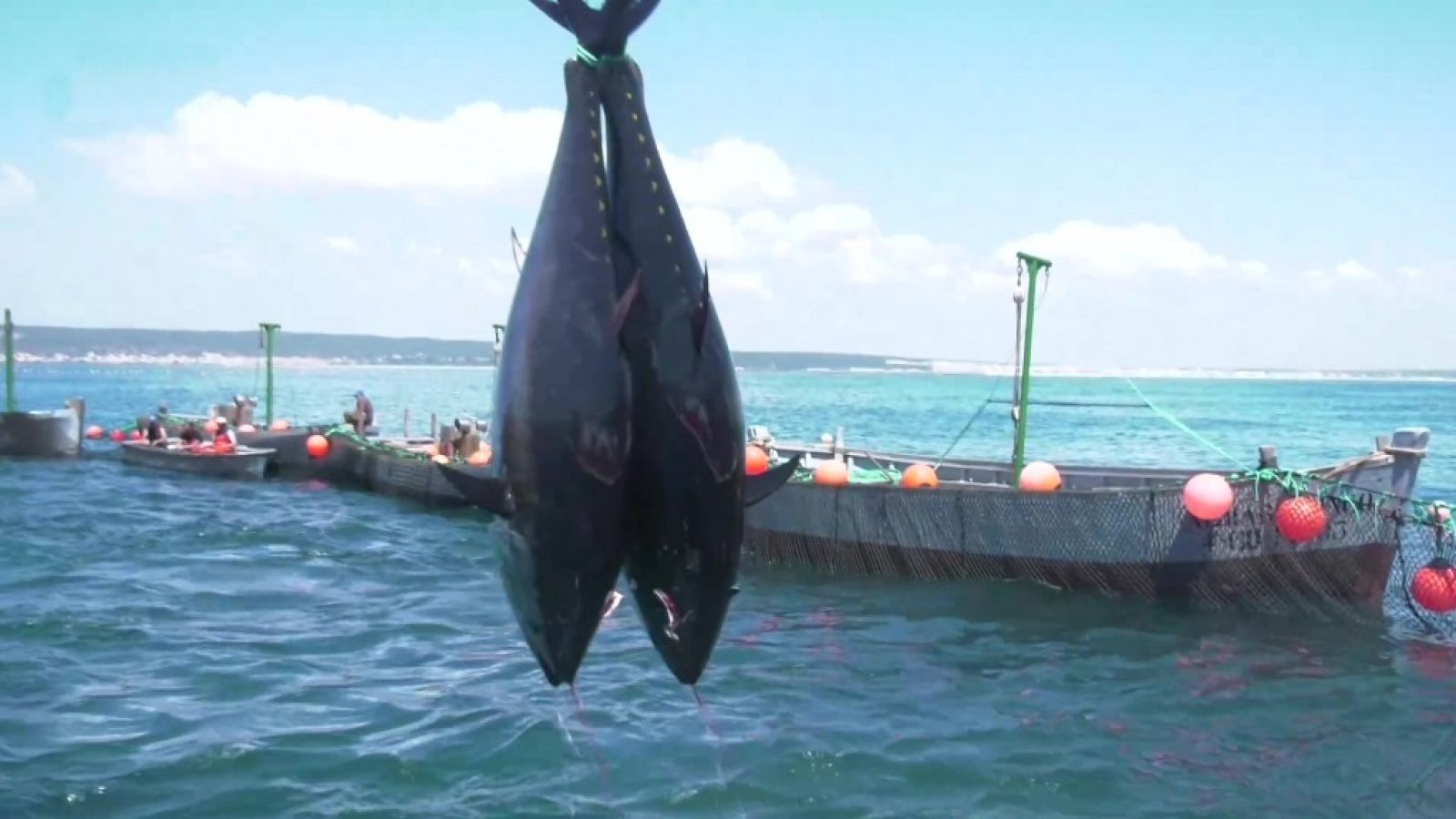 España Directo - 25/04/22 - ver ahora