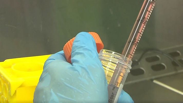 Telediario 2 - Ensayan un fármaco que evita la metástasis en enfermos de cáncer