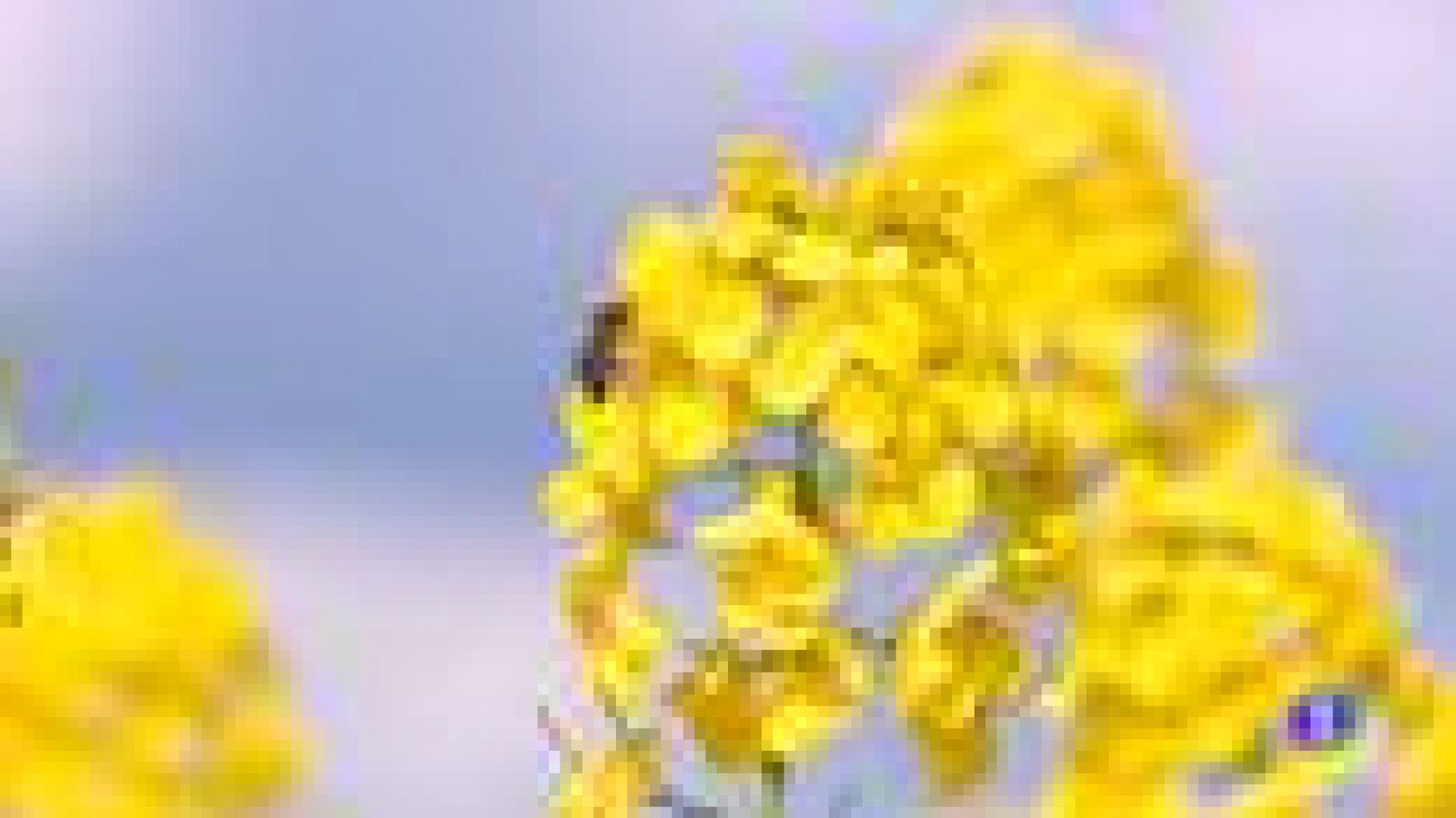 Telerioja en 2' - 26/04/22-Ver ahora