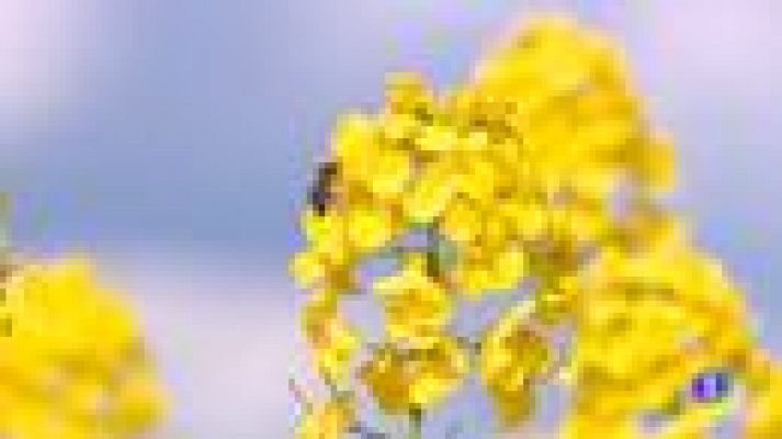 Informativo Telerioja - Informativo Telerioja - 26/04/22