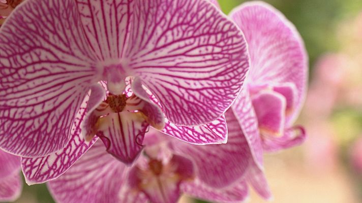 Aquí la Tierra - Aquí la Tierra - 26/04/22