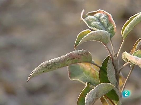 L'Informatiu - El temps - 16/12/09