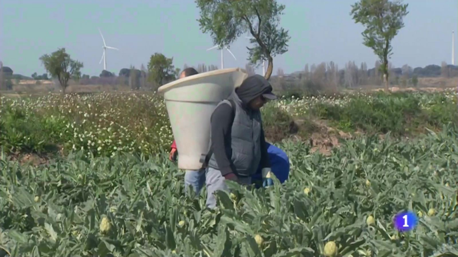 El sector agroalimentario de Navarra, referente en España