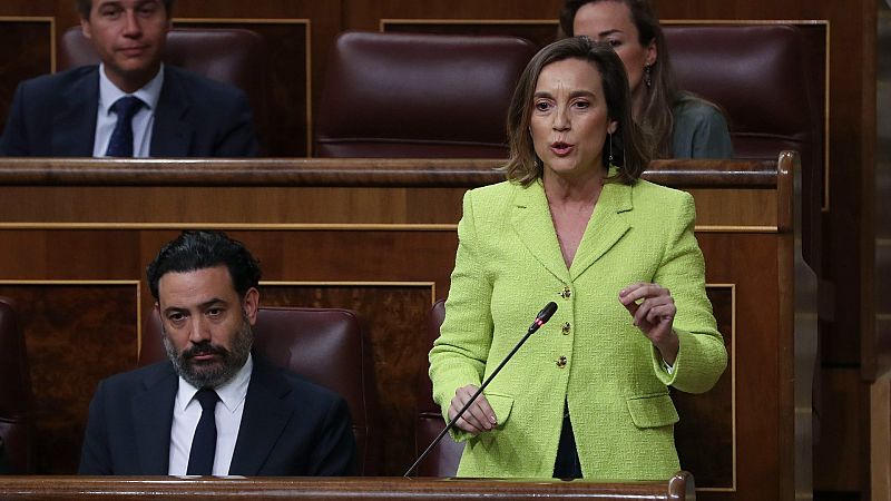 Sánchez pide el apoyo al PP y al resto de la Cámara para el plan anticrisis
