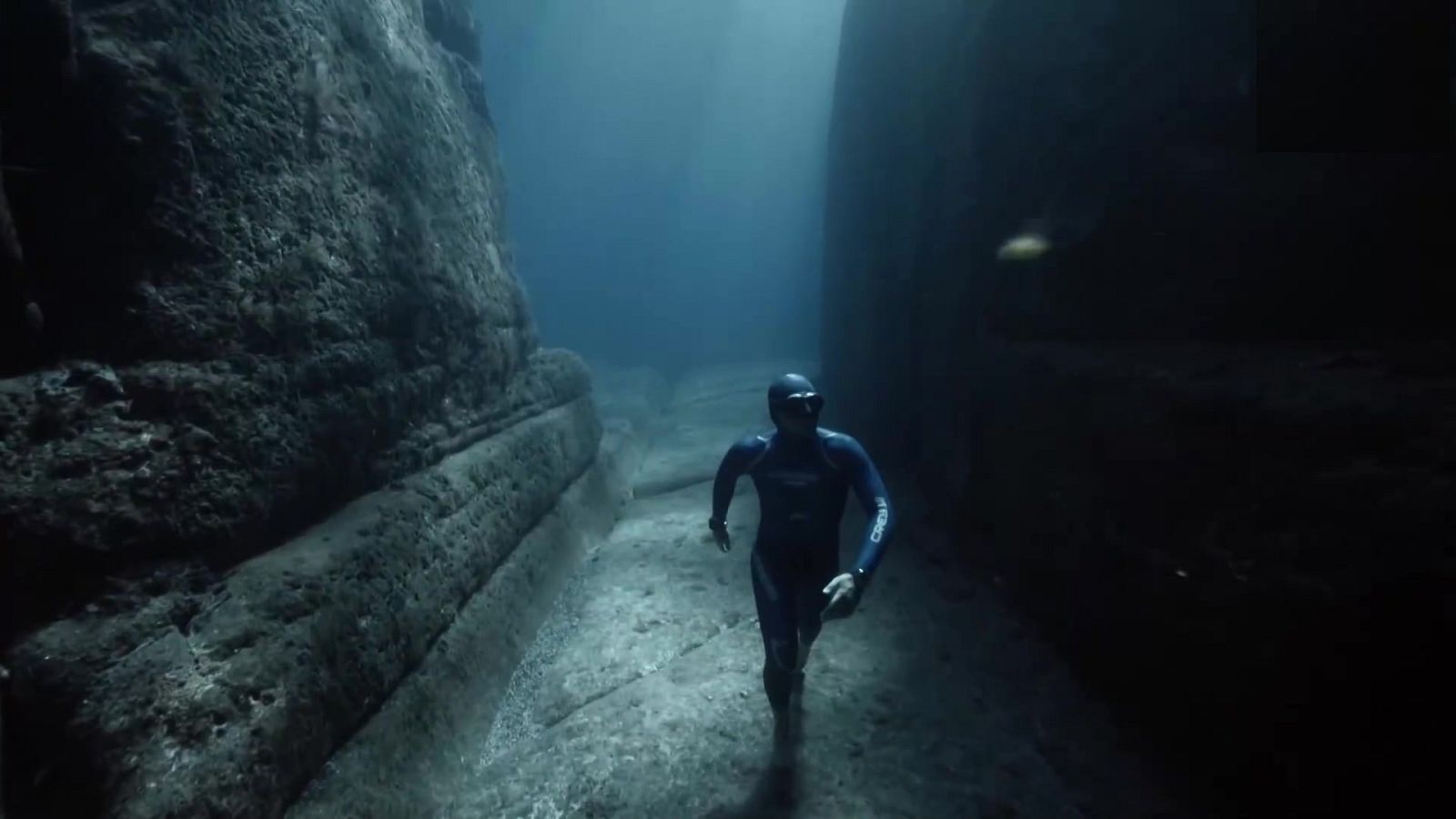 Evasión - Programa 8 - ver ahora