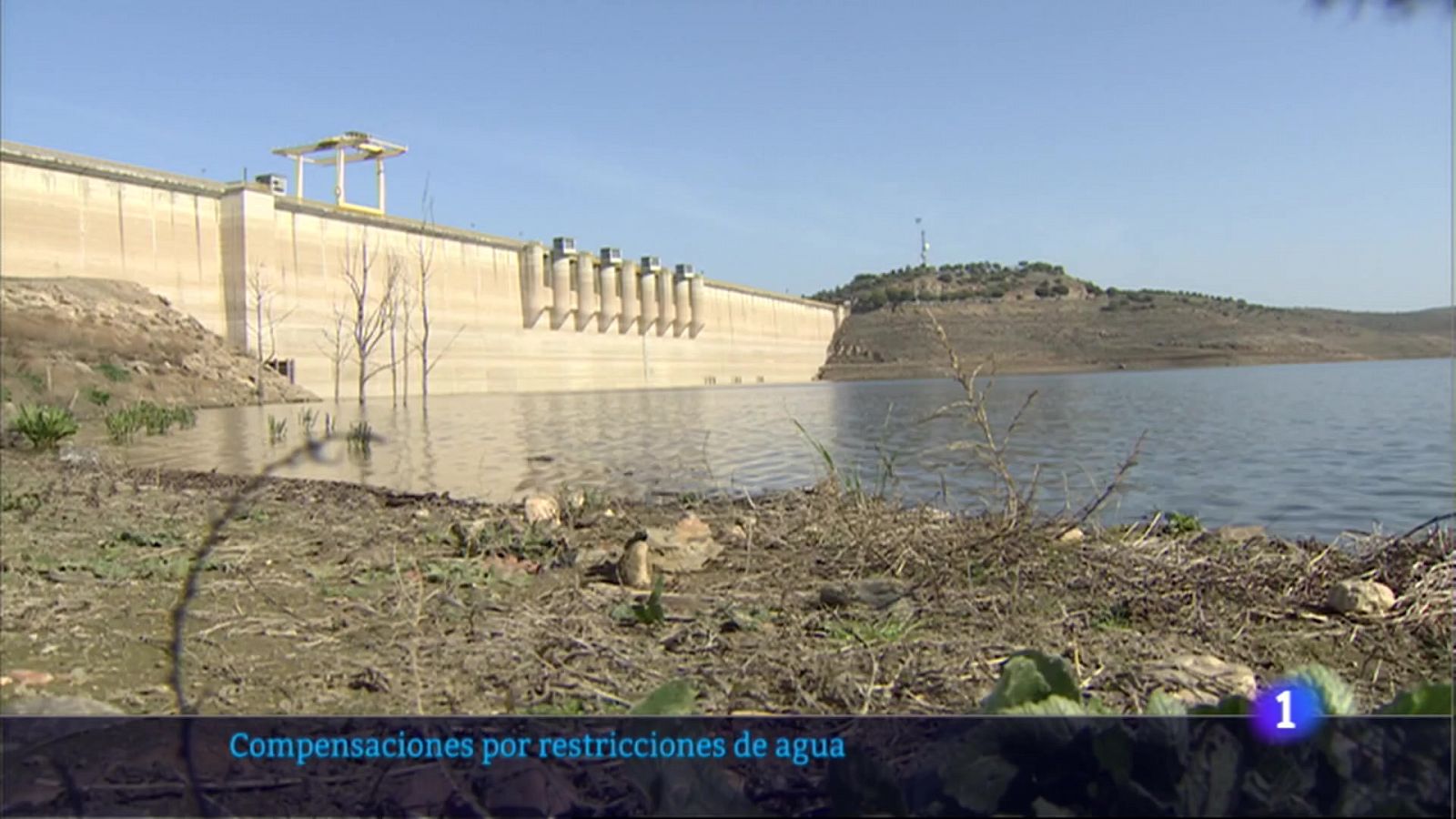 Compensaciones por restricciones de agua - RTVE.es