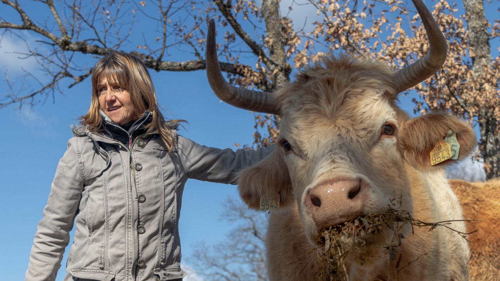 Los ganaderos reivindican su papel en la cadena alimentaria | Ver