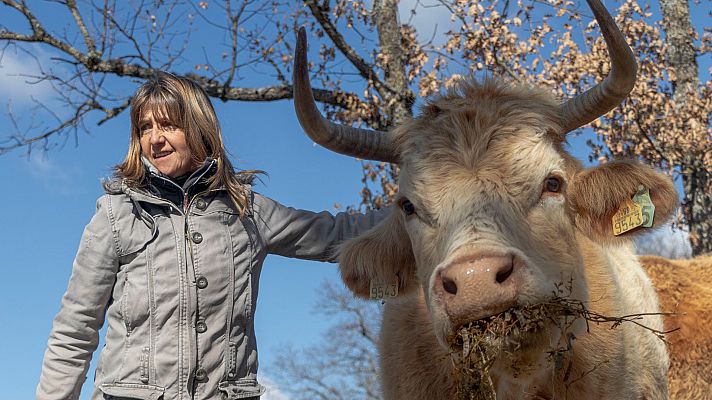 Telediario 1 - Los ganaderos reivindican su papel en la cadena alimentaria: "El eslabón más débil siempre somos los productores"