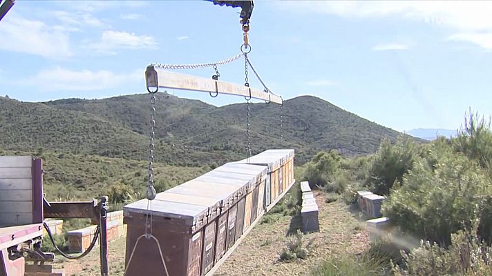 Telediario 2 - Los costes de producción se disparan en el campo y el mar