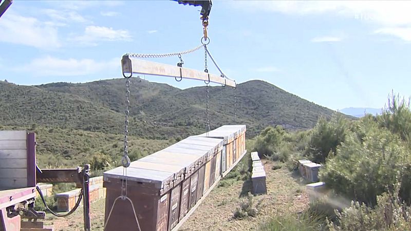 Los costes de producción se disparan en el campo y el mar 