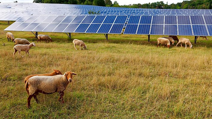 Energía verde y agricultura, una posibilidad de convivencia real que aporta beneficios mutuos