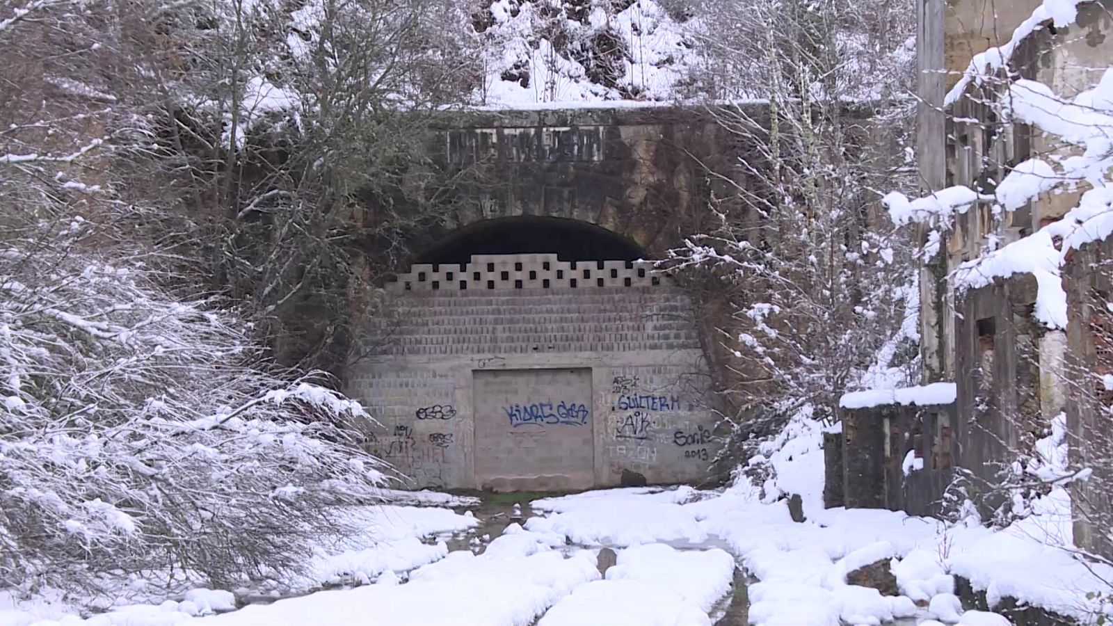 Comando Actualidad - Resucitados - ver ahora