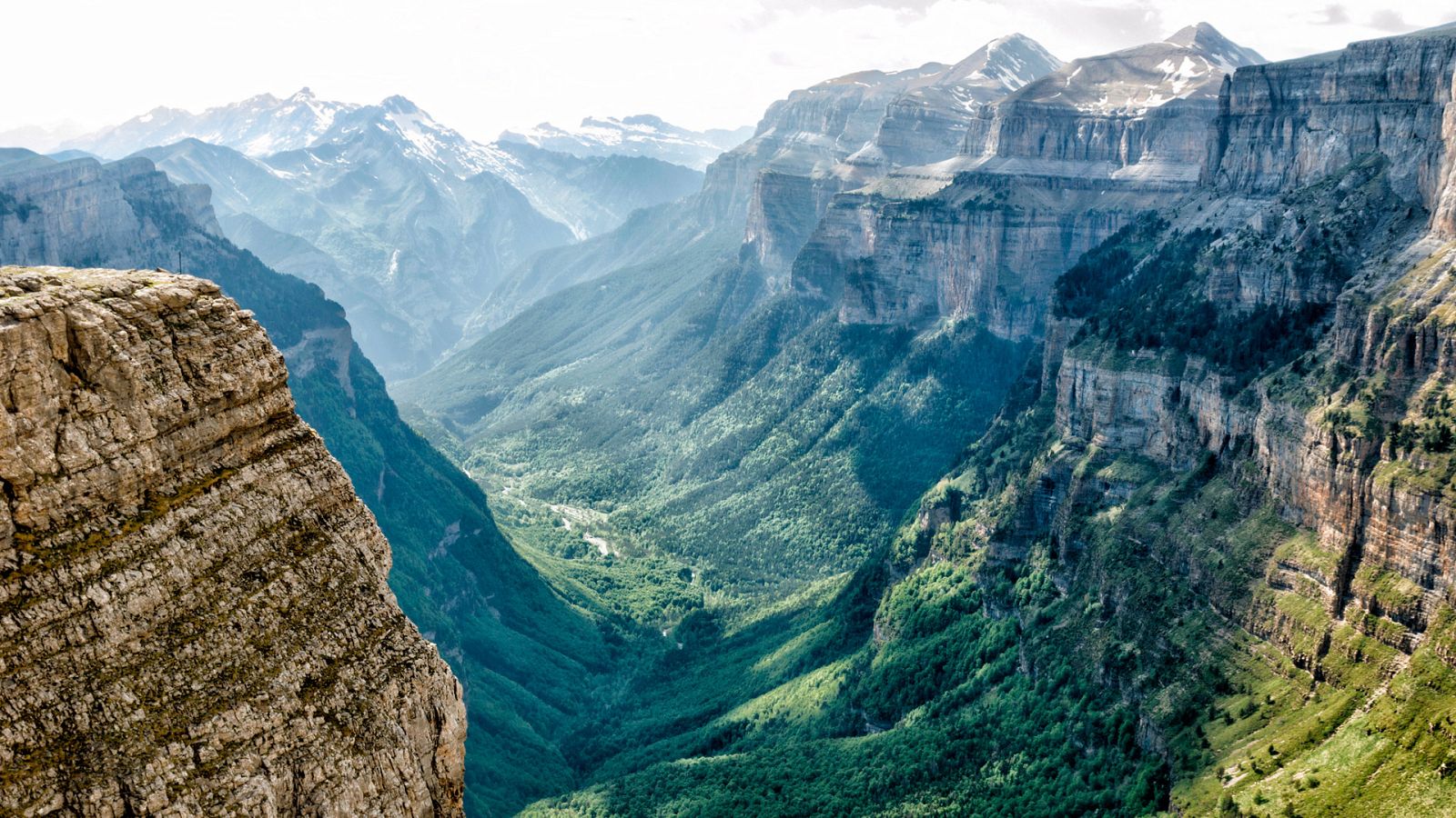 El escarabajo verde - Los parques naturales