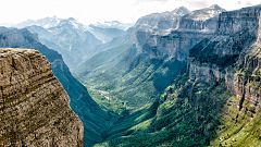 El escarabajo verde - Los parques naturales