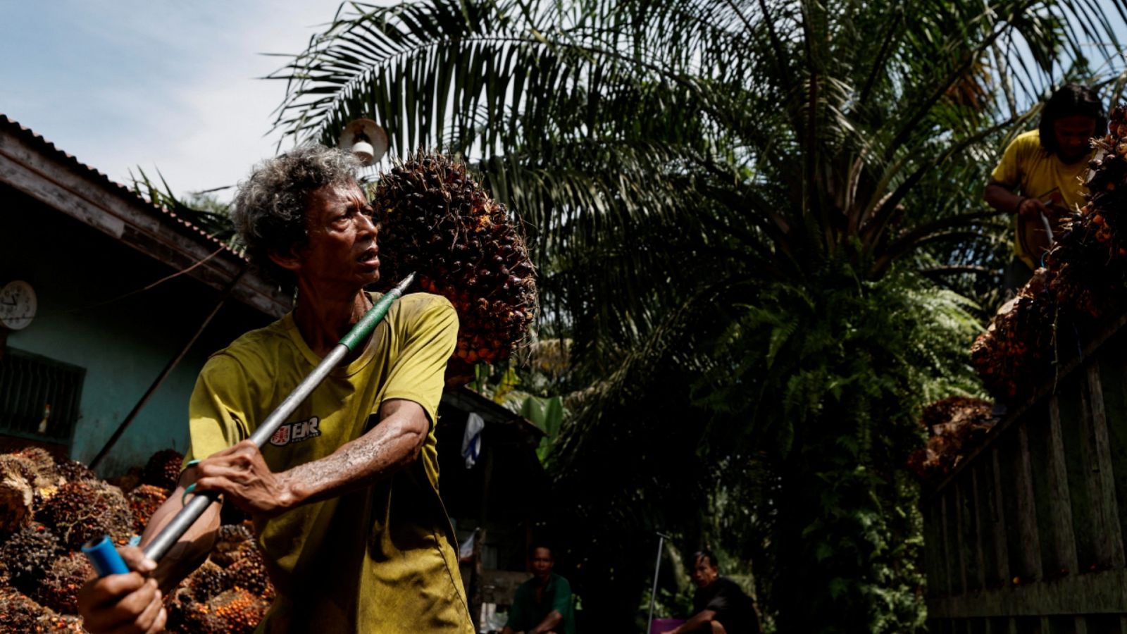 Indonesia no venderá aceite de palma