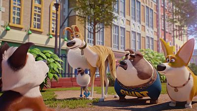 Trasto - Cine Clan | Ver película