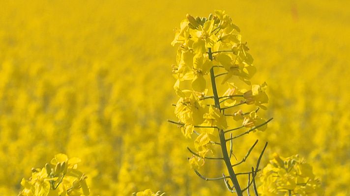 Agrosfera - Agrosfera - 30/04/22