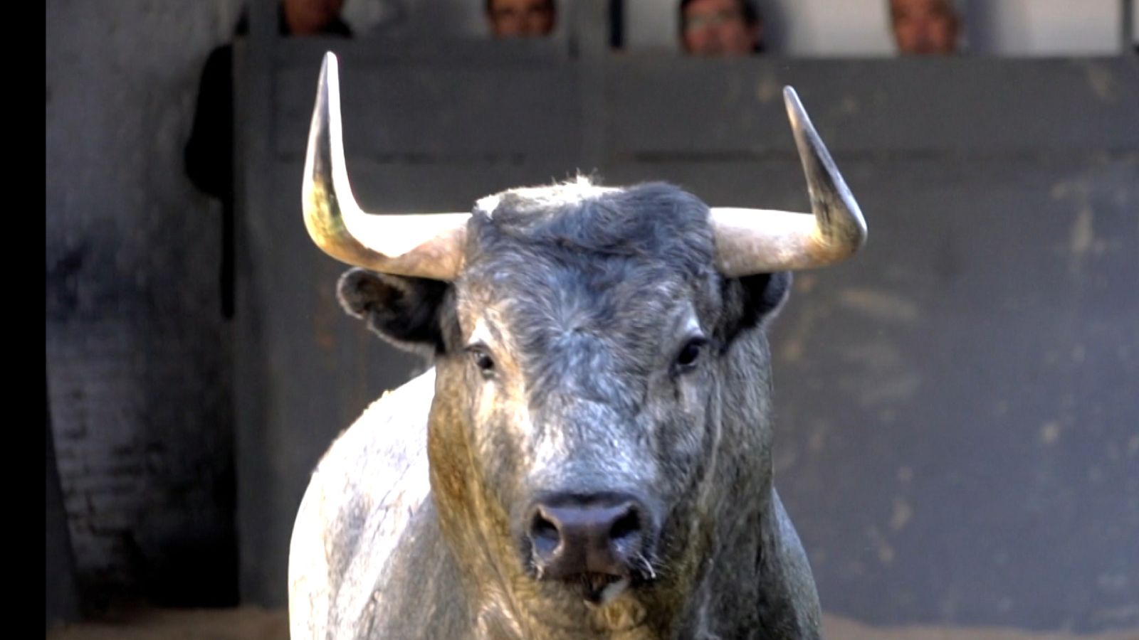 Tendido cero - 30/04/22 - ver ahora