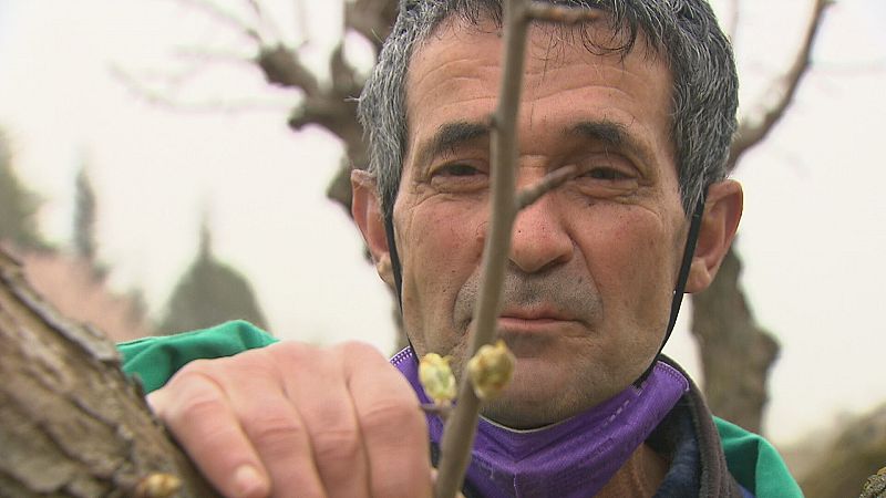 Pueblo de Dios - Cosechadores de esperanza - ver ahora