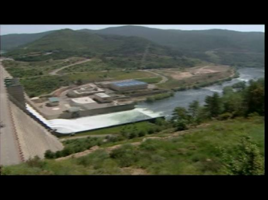 El escarabajo verde - "Cerrados en Canal"