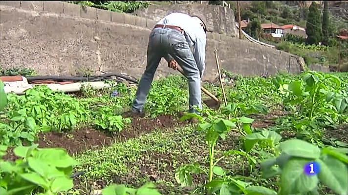 Drones para la agricultura        