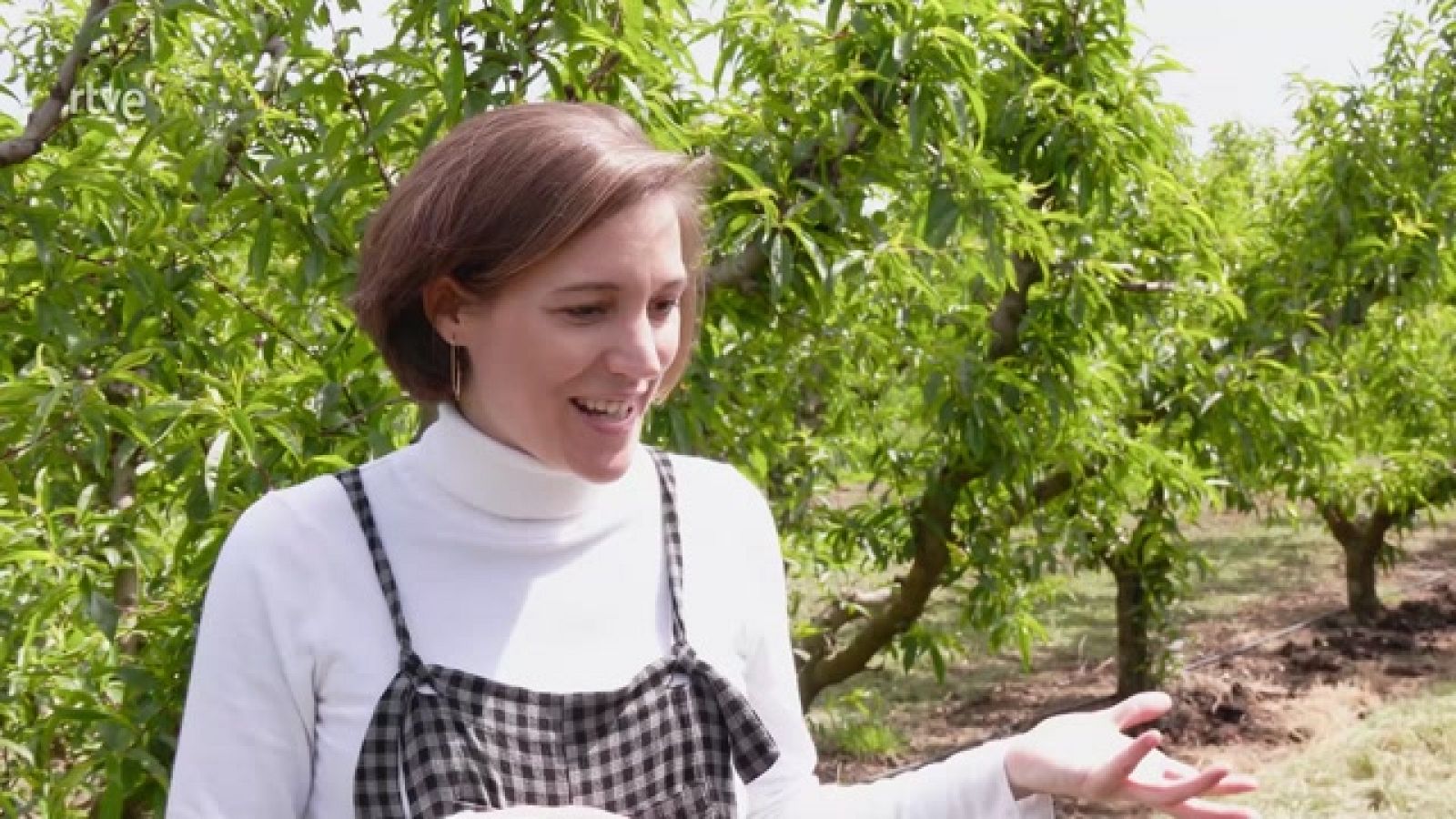 Aquí la Tierra - Viajamos al escenario de "Alcarràs" con Carla Simón