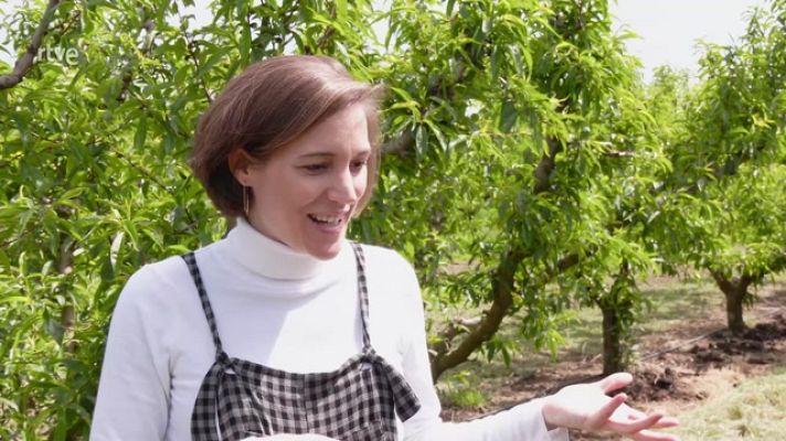 Aquí la Tierra - Viajamos al escenario de "Alcarràs" con Carla Simón