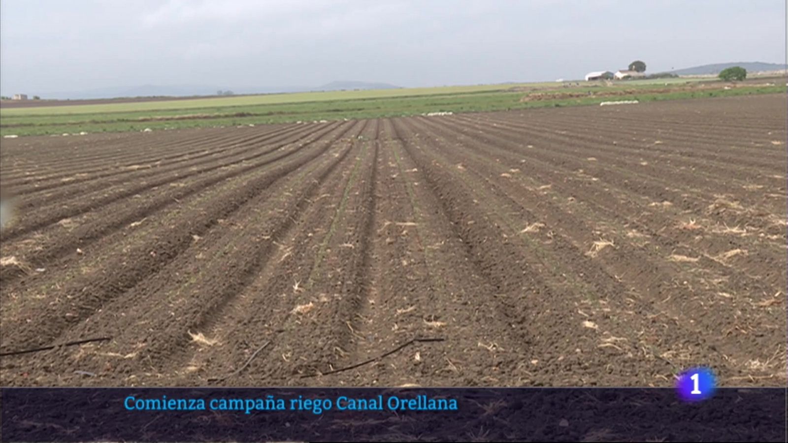 Comienza la campaña de riego en el Canal de Orellana - RTVE.es