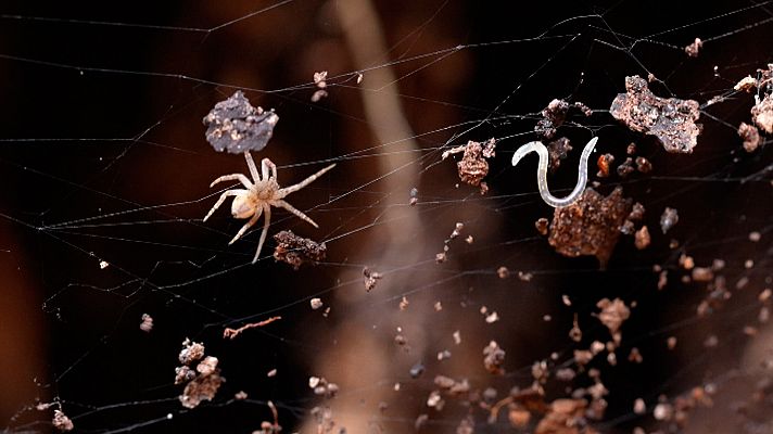 En portada - Preestreno de "Ladrones de mentes" en RTVE Play