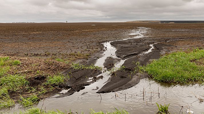 Telediario 1 - Las fuertes lluvias dejan grandes pérdidas en la agricultura