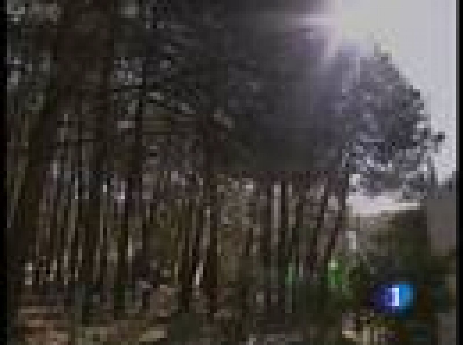 Los restos de Federico García Lorca no están en el parque de Alfacar de Granada | Ver