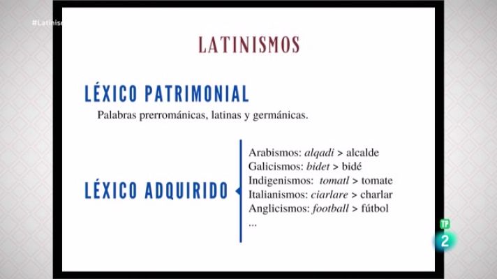 La aventura del Saber - La aventura del saber - Los latinismos. Con Luna Paredes