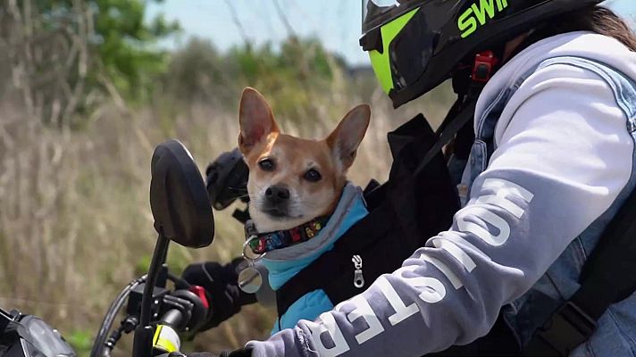 Seguridad vital 5.0 - Seguridad vital - 15/05/22