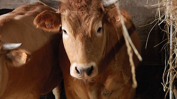 Aquí la Tierra - Aquí la Tierra - 05/05/22