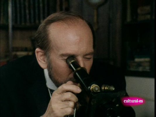 Ramón y Cajal: historia de una voluntad - Cajal en Valencia - Capítulo 6