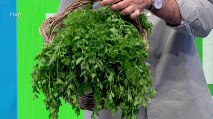Aquí la Tierra - El perejil: ¿cómo cultivarlo y comerlo?