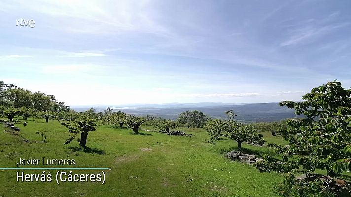 Las temperaturas diurnas subirán en todo el país, salvo en litoral sureste donde tendrán pocos cambios o ligeros descensos