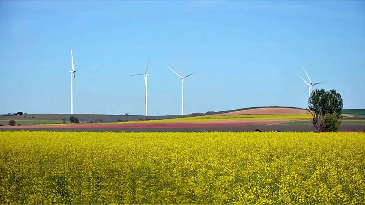 El tiempo - Cielos poco nubosos salvo en Pirineos, extremo norte peninsular y Baleares