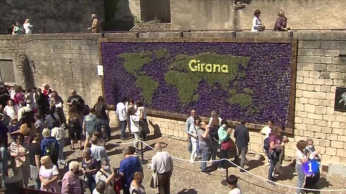 El Temps de Flors brilla amb llum pròpia