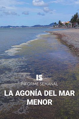 Informe Semanal - La agonía del Mar Menor