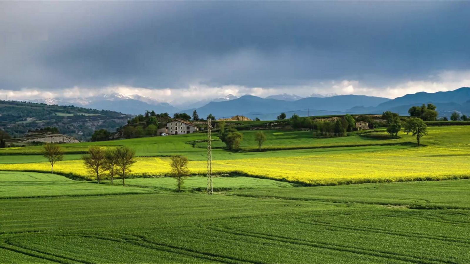 Predominarán cielos poco nubosos o con intervalos de nubes medias y altas en la mayor parte del país - ver ahora