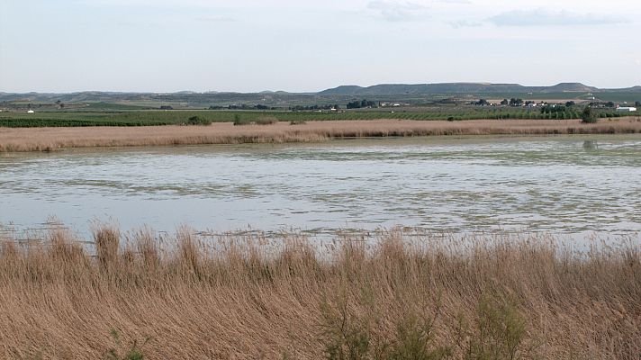 Telediario Fin de Semana - Una filtración de pesticidas deja sin agua potable a 25 pueblos en Lleida