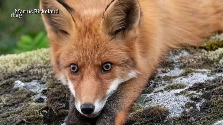 Aquí la Tierra - Aquí la Tierra - 08/05/22