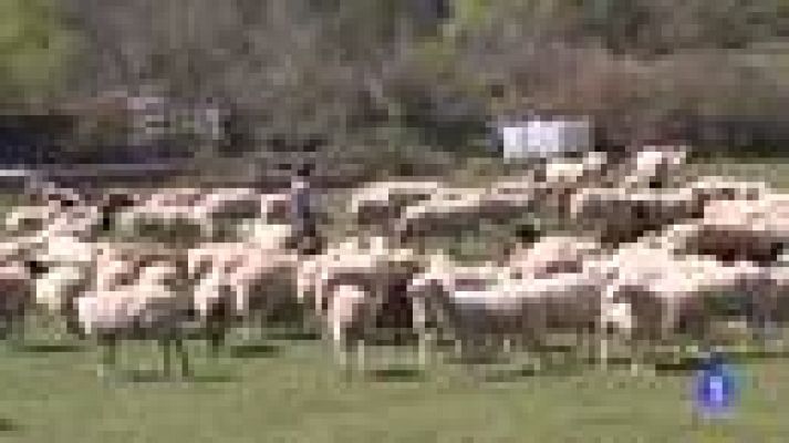 Informativo Telerioja - Informativo Telerioja - 09/05/22