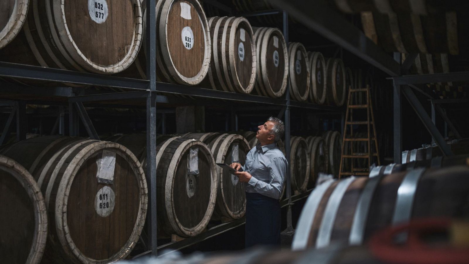 La guerra de Ucrania dificulta la exportación de vino | Ver