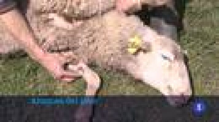 Informativo Telerioja - Informativo Telerioja 2 - 09/05/22