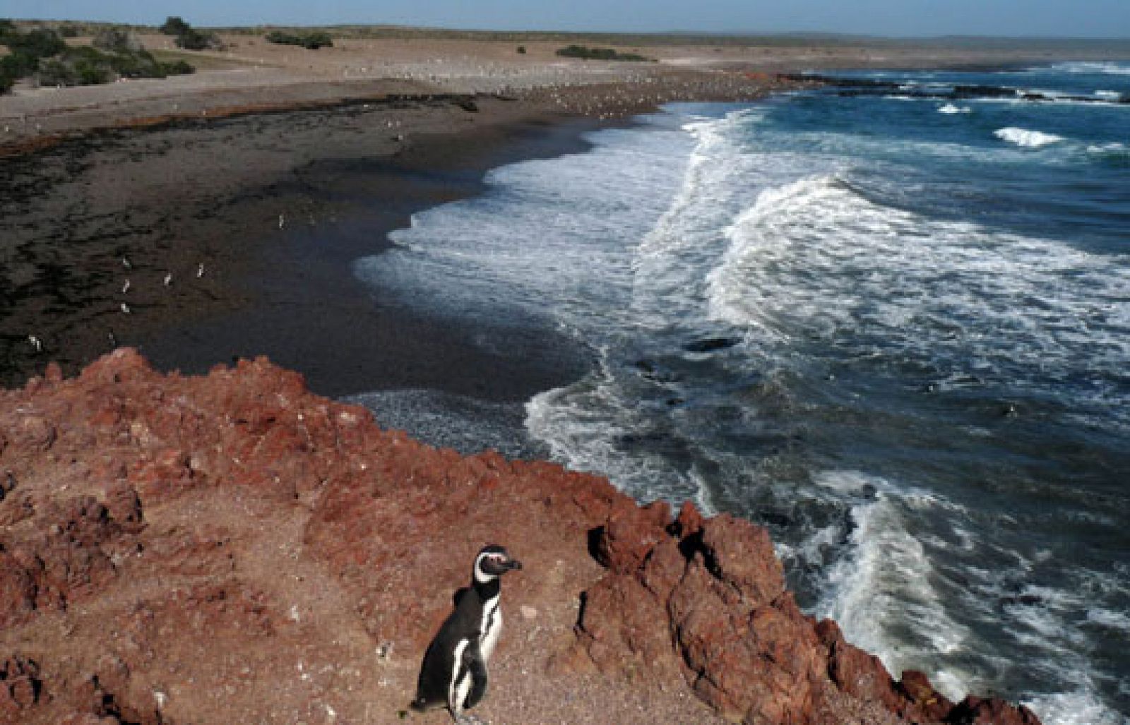 Informe semanal - Copenhague: La Tierra en juego | Ver