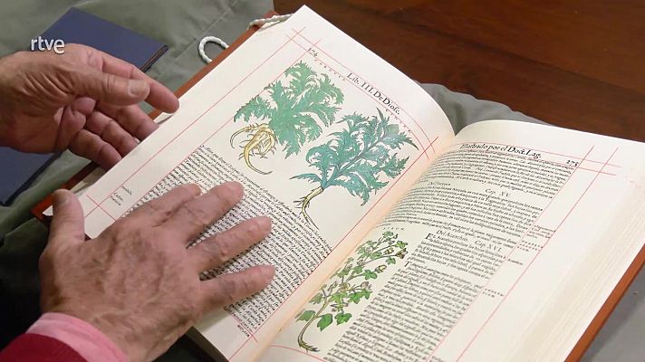 La Biblia de las plantas y la Biblioteca Nacional 